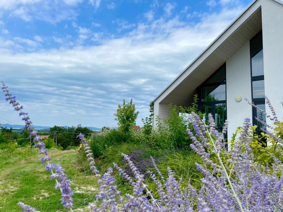 Wine & Space Lodge At Lake Balaton Balatonlelle Exterior photo