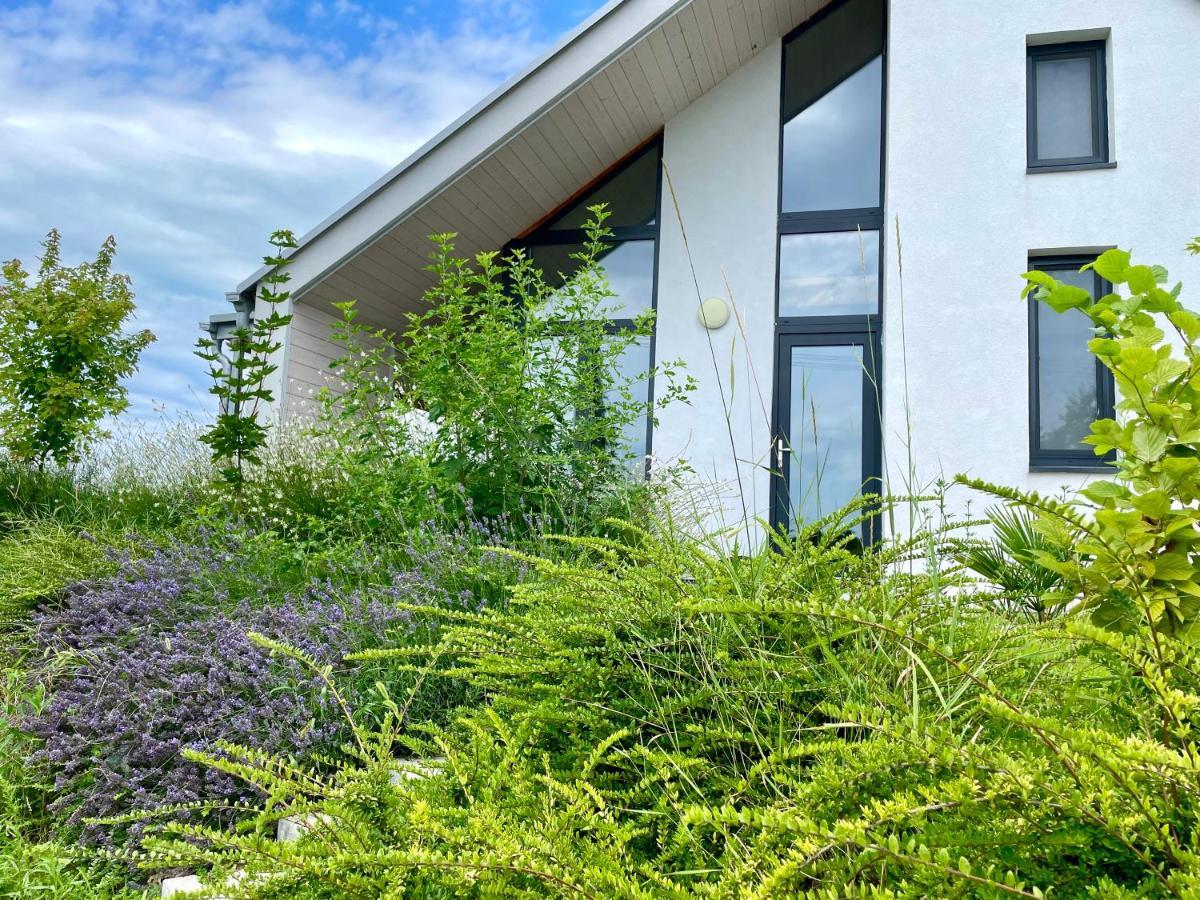 Wine & Space Lodge At Lake Balaton Balatonlelle Exterior photo
